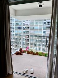 Blk 518C The Premiere @ Tampines (Tampines), HDB 5 Rooms #617568961